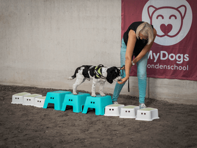 funcursus-individuele-aandacht