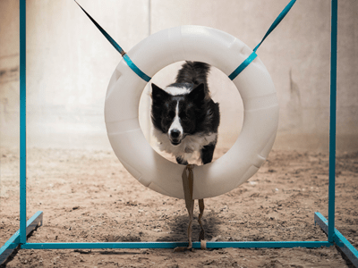 funcursus-positief-en-ontspannen-trainen