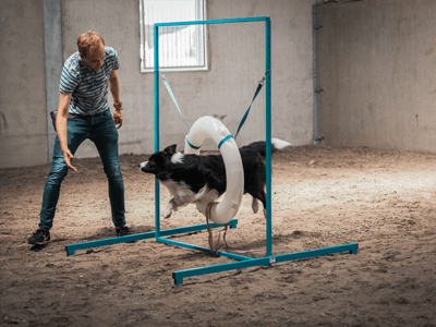 gevorderdencursus-positief-en-ontspannen-trainen-min