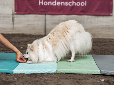 gevorderdencursus2-individuele-aandacht