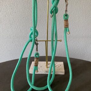 Mintgroene hondenriem verstelbaar